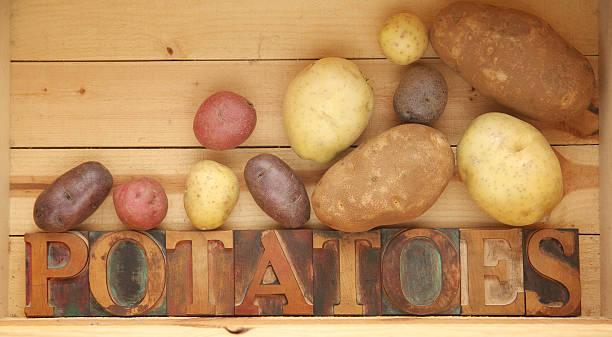 potato varieties stock photo