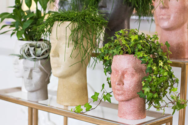 Pot-face, pot-head with houseplants. stock photo