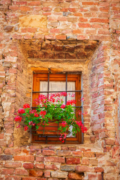 Potted plants grow in terracotta containers outside in the town of "rCertaldo, in the heart of Tuscany, Italy. stock photo