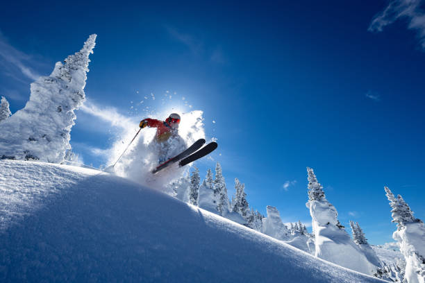 Powder skiing Powder skiing on a sunny day. ski stock pictures, royalty-free photos & images