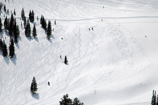 Powder Turns "The backside of Snowbird, UT with turns carved into the powder.Other skiing pictures:" powder mountain stock pictures, royalty-free photos & images