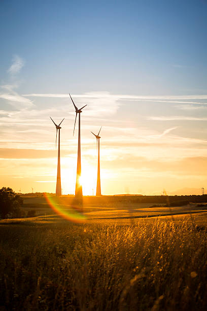 power generating wind turbines in the countryside in the evening - wind turbine sunset bildbanksfoton och bilder