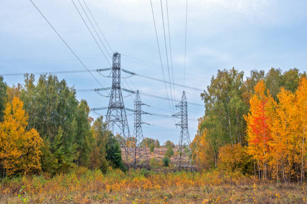 Power lines in autumn forest stock photo