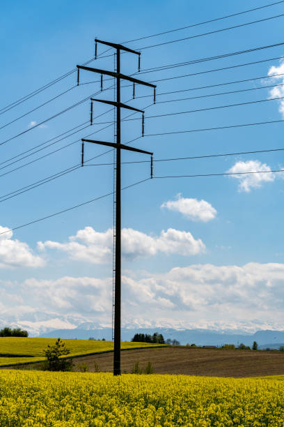 Power pole in front of alpine panorama stock photo