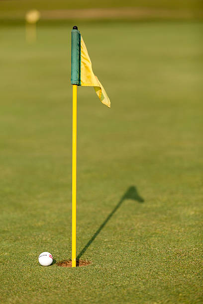 Practice Golf Ball and Flag on Putting Green stock photo