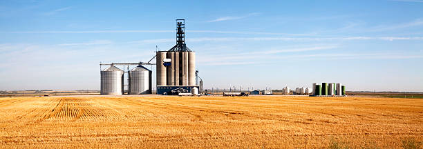 Prairie Elevator And Grain Bin stock photo