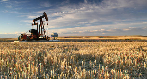 Prairie Pumpjack in Alberta Oil Industry A pumpjack on the prairie. Alberta, Canada. The oil industry is a major driver of the economy in the Western Canadian province. Additional themes in the image include crude oil, oil output, economy, drilling, keystone pipeline, oil field, oilsands, Calgary, alberta, rig, oil industry, natural gas, and power and energy.  oil pump stock pictures, royalty-free photos & images