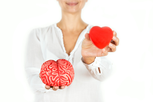 Heart And Brain Pictures | Download Free Images on Unsplash
