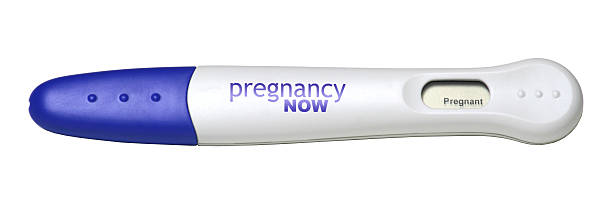 Pregnancy Test Isolated on White Background An isolated digital pregnancy test, touting a fictitious brand name, shows a positive test result. The image is isolated on a white background an includes a clipping path for the object itself. positive pregnancy test stock pictures, royalty-free photos & images
