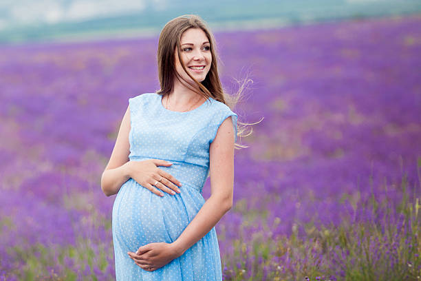 pregnant girl in a lavender field pregnant girl in a lavender field lavender color photos stock pictures, royalty-free photos & images
