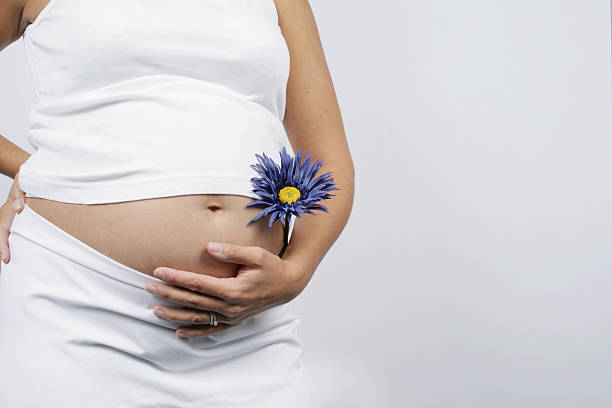 pregnant woman 3 stock photo