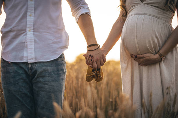 Pregnant woman and her husband standing in grass field and holding hands stock photo