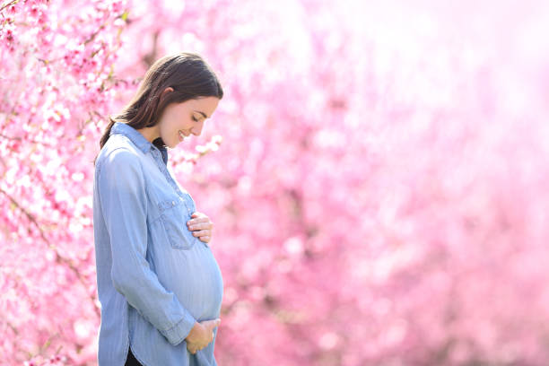 Pregnant woman looking at belly in a pink flowered field stock photo