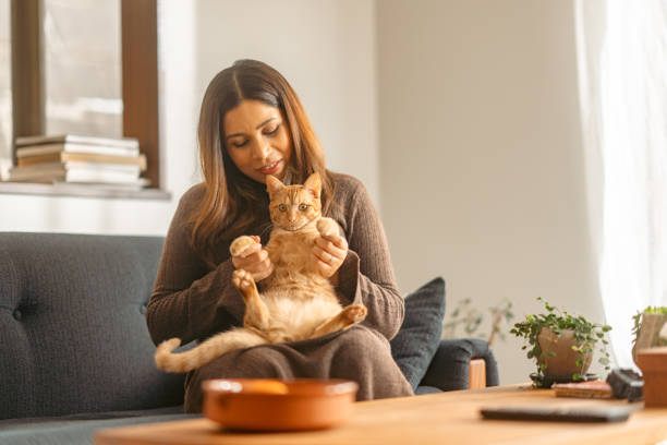 Pregnant woman spending time with her ginger cat in living room at home stock photo