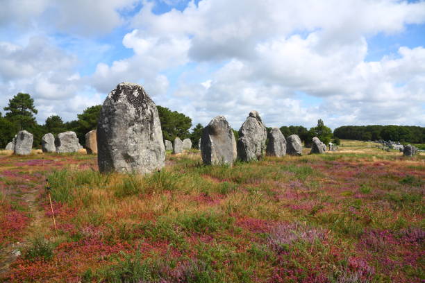 Prehistoric standing stones Alignment of prehistoric standing stones in Carnac, France. The stones were erected during the Neolithic period, around 3300 BC. megalith stock pictures, royalty-free photos & images