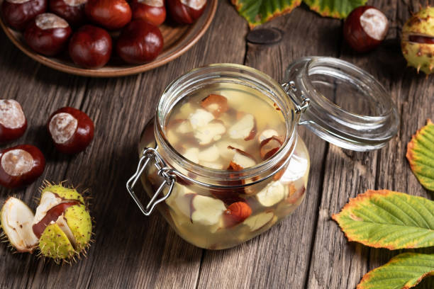 Preparation of homemade tincture from horse chestnuts Preparation of homemade tincture from horse chestnuts horse chestnut seed stock pictures, royalty-free photos & images