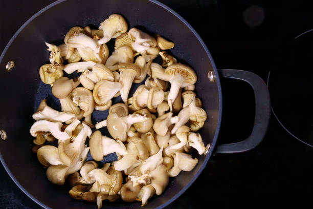 preparation of mixed mushrooms, such as common mushrooms, oyster mushrooms or shiitake stock photo