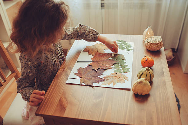 preparations for autumn craft with kids at home. stock photo