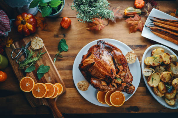 preparing stuffed turkey for holidays in domestic kitchen - turkey imagens e fotografias de stock