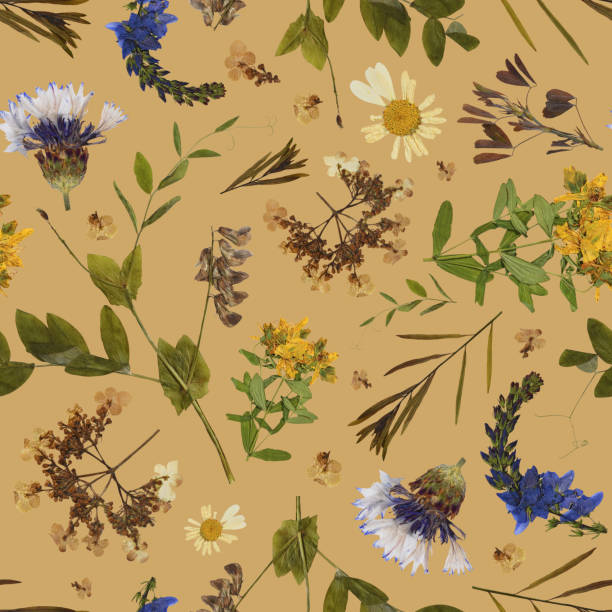 Pressed flowers and plants on beige background. Floral seamless pattern in collage technique. Herbarium. flower photos stock pictures, royalty-free photos & images