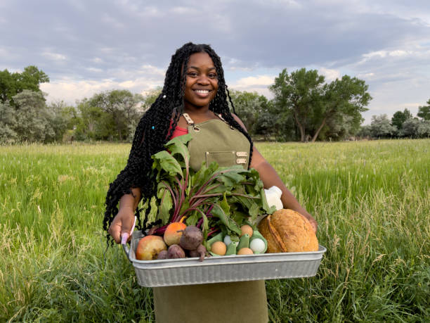 Pretty African American Woman in her Twenties Posing in a Field Holding a Basket of Organic and Sustainable Produce She Sells to a Local Community stock photo