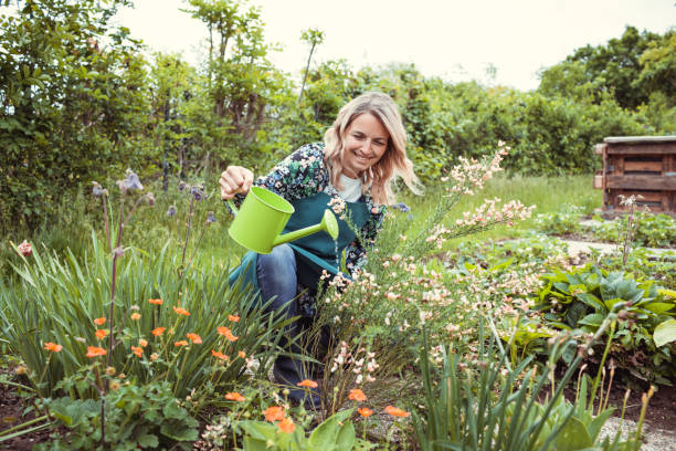 pretty blonde gardener working in garden with flowers stock photo