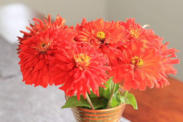 Pretty Red Flowers in a Vase stock photo