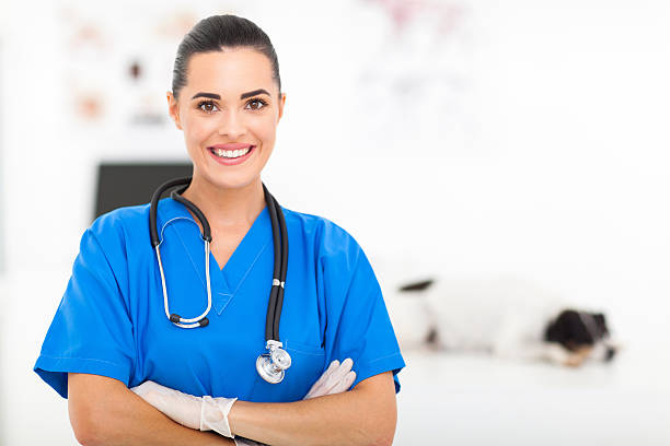 pretty veterinarian modern pretty veterinarian portrait in office assistant stock pictures, royalty-free photos & images