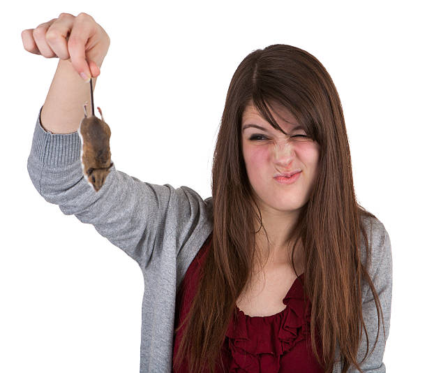 pretty young woman holding dead mouse a very attractive college aged brunette woman making a not so attractive facial expression as she holds up and looks at a dead mouse. ugly skinny women stock pictures, royalty-free photos & images