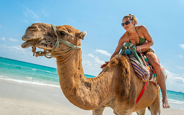 Pretty Young Woman Sitting on a Camel Pretty Young Woman Sitting on a Camel on the Beach during a Tropical Day tunisia woman stock pictures, royalty-free photos & images
