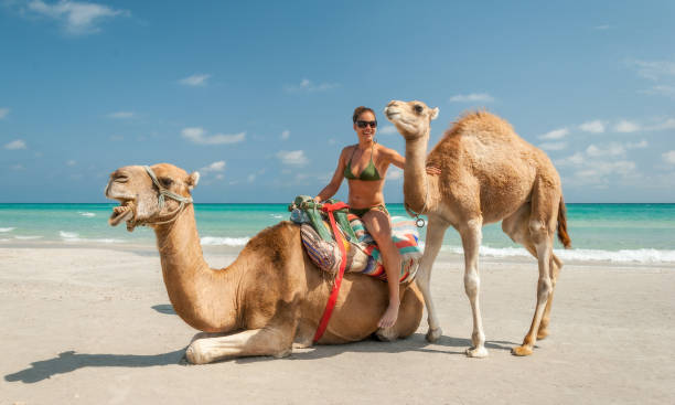 Pretty Young Woman Sitting on a Camel Pretty Young Woman Sitting on a Camel on the Beach during a Tropical Day tunisia woman stock pictures, royalty-free photos & images