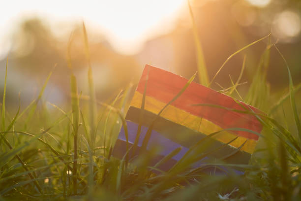 флаг лгбт-прайда с солнечным светом на спине. - progress pride flag стоковые фото и изображения