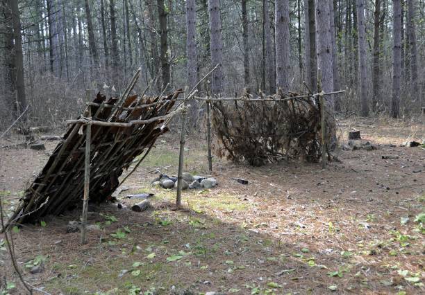 primitive shelter in the woods stock photo