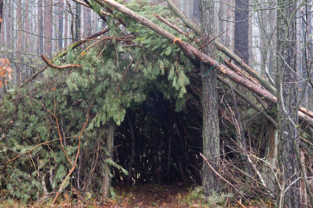 primitive survival shelter in forest primitive survival shelter in forest  slective focus bushcraft stock pictures, royalty-free photos & images