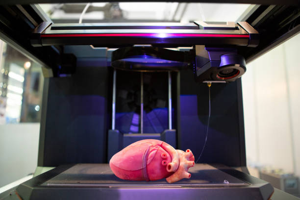 Printed human heart 3d printer with a printed human heart 3d printing stock pictures, royalty-free photos & images