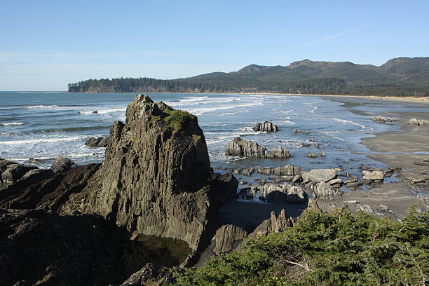 Pristine Beach On Washington Coastline A vast pristine beach on the Washington coastline of the Pacific neah bay stock pictures, royalty-free photos & images