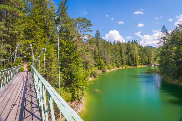 Pristine lake in Lower Austria stock photo