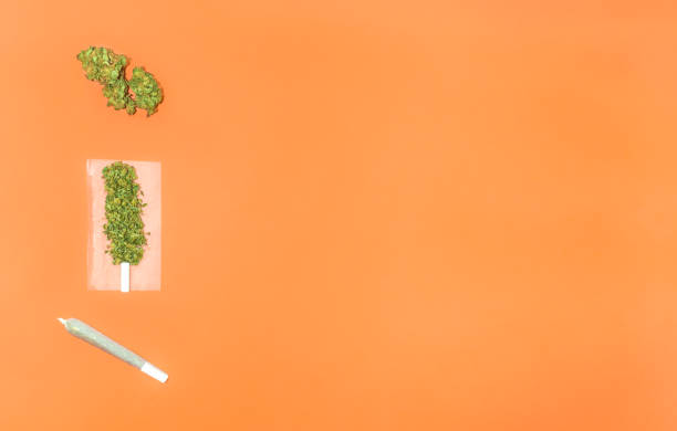 Process for rolling a cannabis joint. Top view of steps to roll a marijuana joint isolate on orange background with copy space right. Process for rolling a cannabis joint. Top view of steps to roll a marijuana joint isolate on orange background with copy space right. marijuana joint stock pictures, royalty-free photos & images