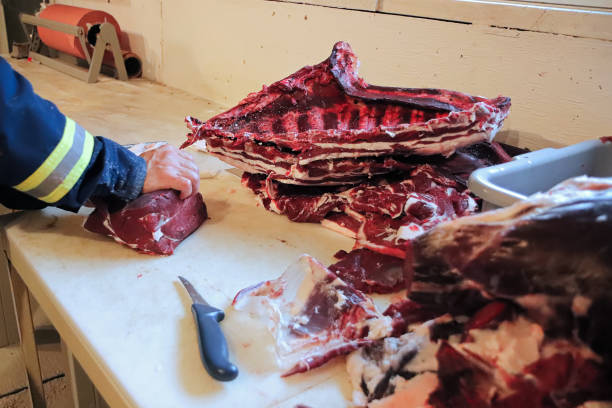 bearbetning av en tabell över revbensspjällar och kött av rådjur - deer dead bildbanksfoton och bilder