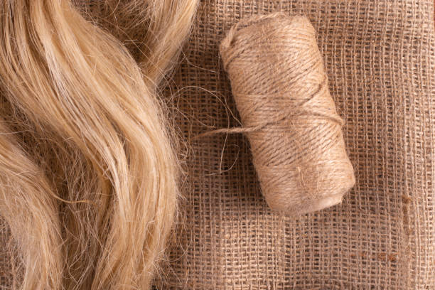 Products from flax. Linen fabric, linseed oil, tow and a coil of flaxseed. stock photo