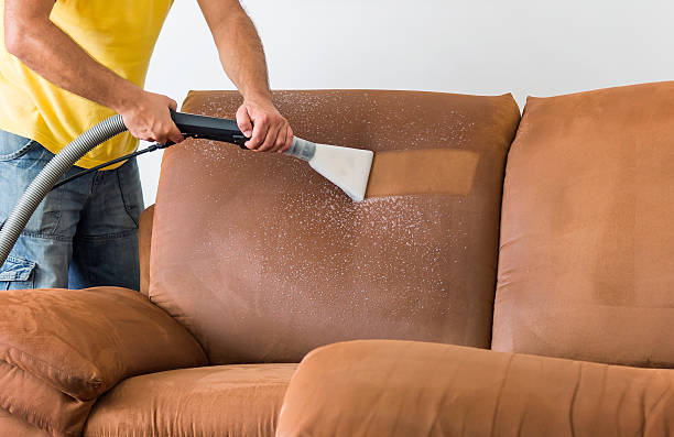 muebles de limpieza profesional - cleaning fabric sofa fotografías e imágenes de stock