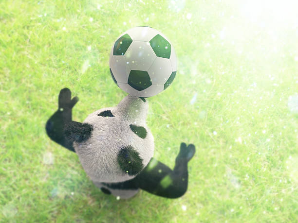 joueur de football professionnel de haut sur fond d'herbe avec effet bokeh - panda foot photos et images de collection