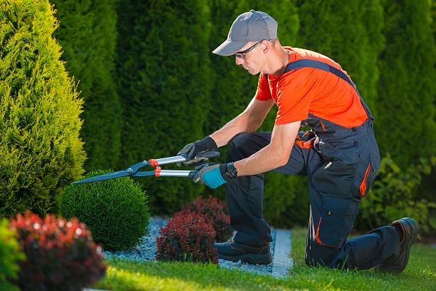 Professional Gardener at Work stock photo