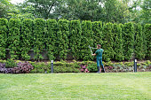 istock Professional Gardener Trimming Hedge. 1324918160