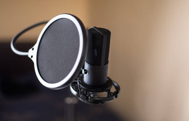Professional studio microphone with pop up filter on a stand in front of computer Professional studio microphone with pop up filter on a stand in front of computer monitor for making a podcast at home audio electronics stock pictures, royalty-free photos & images