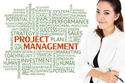 Project Management For Business Concept Stock Photo - Download Image