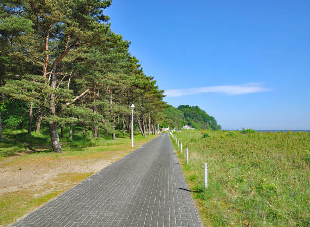 Promenade between Baabe and Sellin,Rügen,Germany Promenade between Baabe and Sellin on Rügen at baltic Sea,Mecklenburg-Vorpommern,Germany r��gen stock pictures, royalty-free photos & images