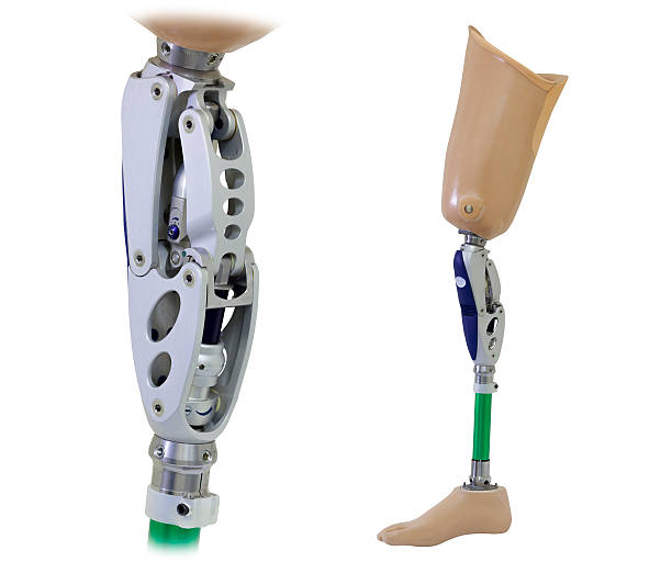 Prosthetic leg and knee mechanism stock photo