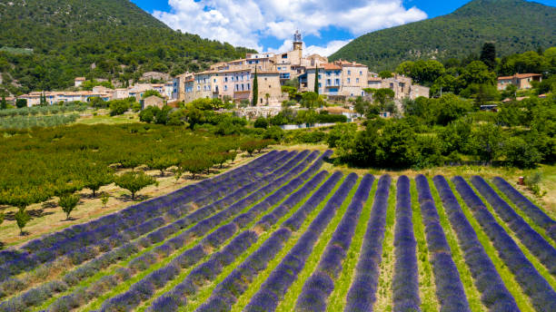 Provence in France, lavender field and village of Grigan stock photo