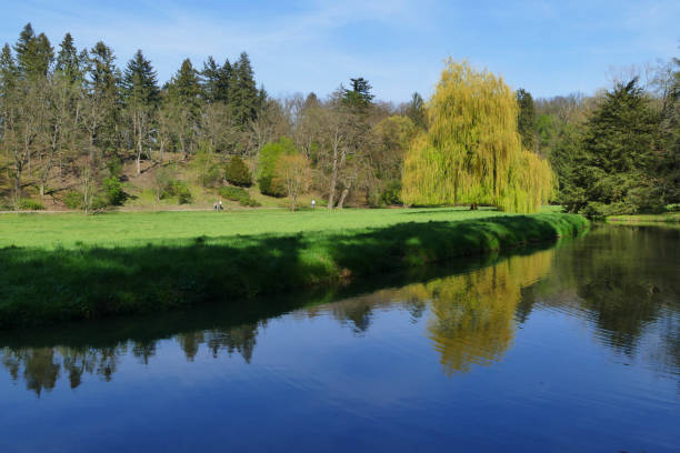 pruhonicky bekroonde park met botic rivier - botic stockfoto's en -beelden